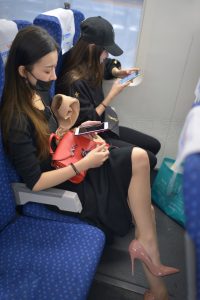 在高铁上偶遇戴口罩的美女 睡觉的时候把高跟鞋脱了露出丝脚[第2张/共4张]